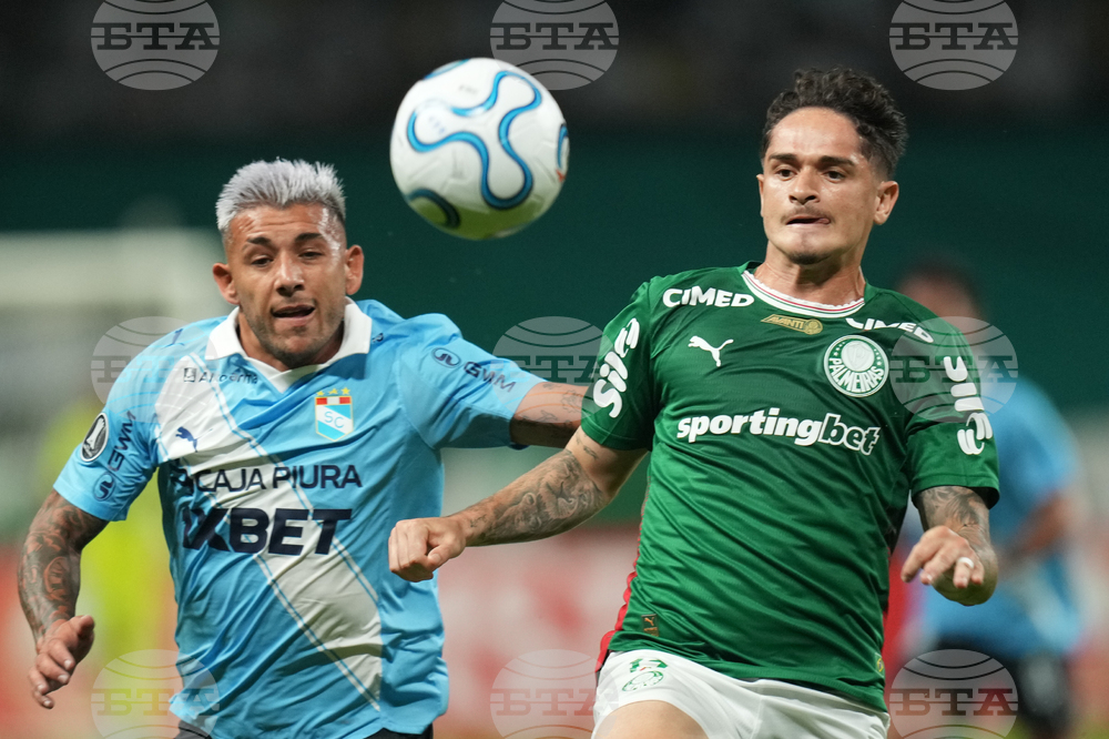 Brazil Peru Copa Libertadores Soccer