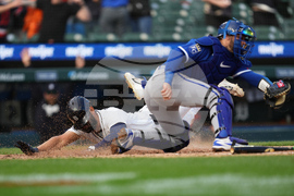 Royals Tigers Baseball