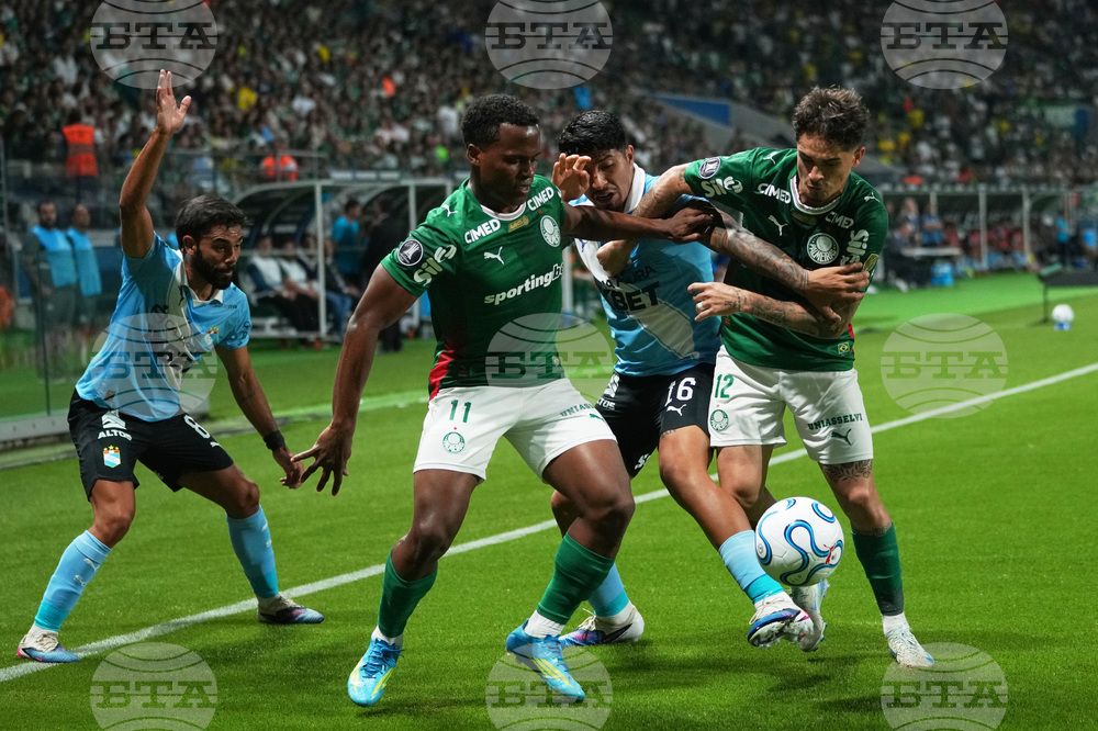 Brazil Peru Copa Libertadores Soccer