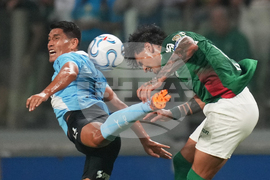 Brazil Peru Copa Libertadores Soccer