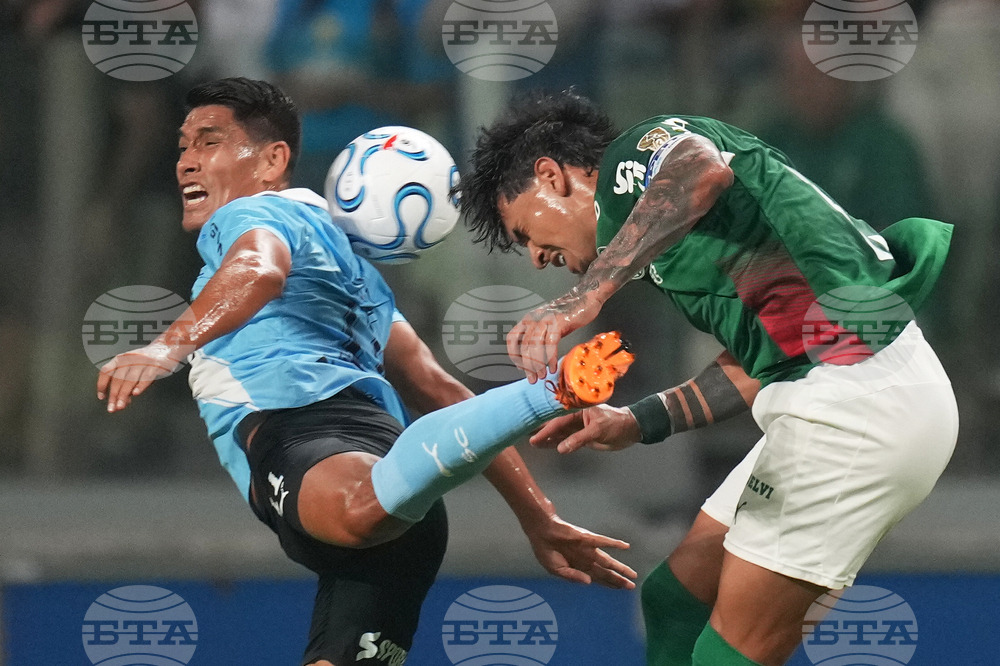 Brazil Peru Copa Libertadores Soccer