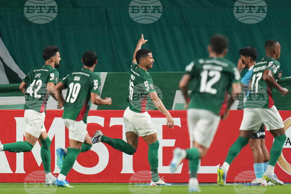 Brazil Peru Copa Libertadores Soccer