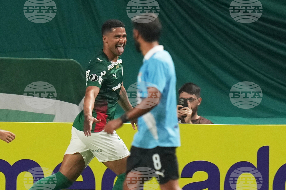 Brazil Peru Copa Libertadores Soccer
