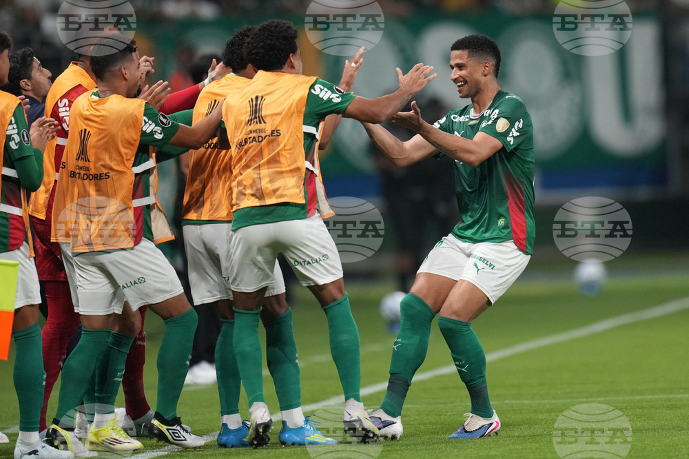 Brazil Peru Copa Libertadores Soccer