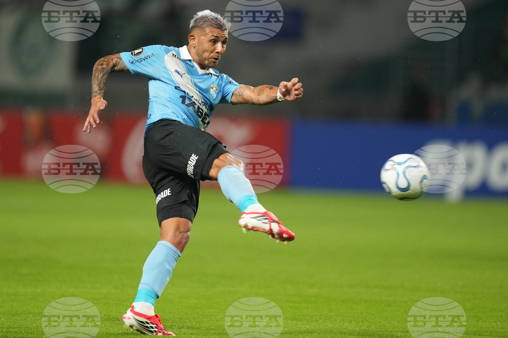 Brazil Peru Copa Libertadores Soccer