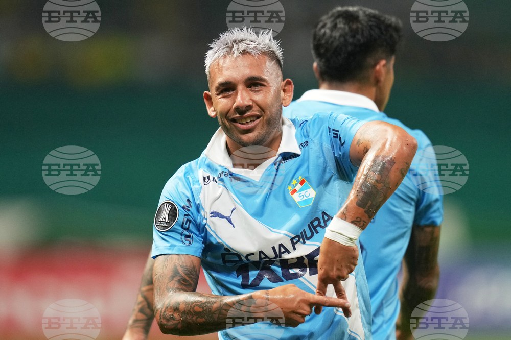 Brazil Peru Copa Libertadores Soccer