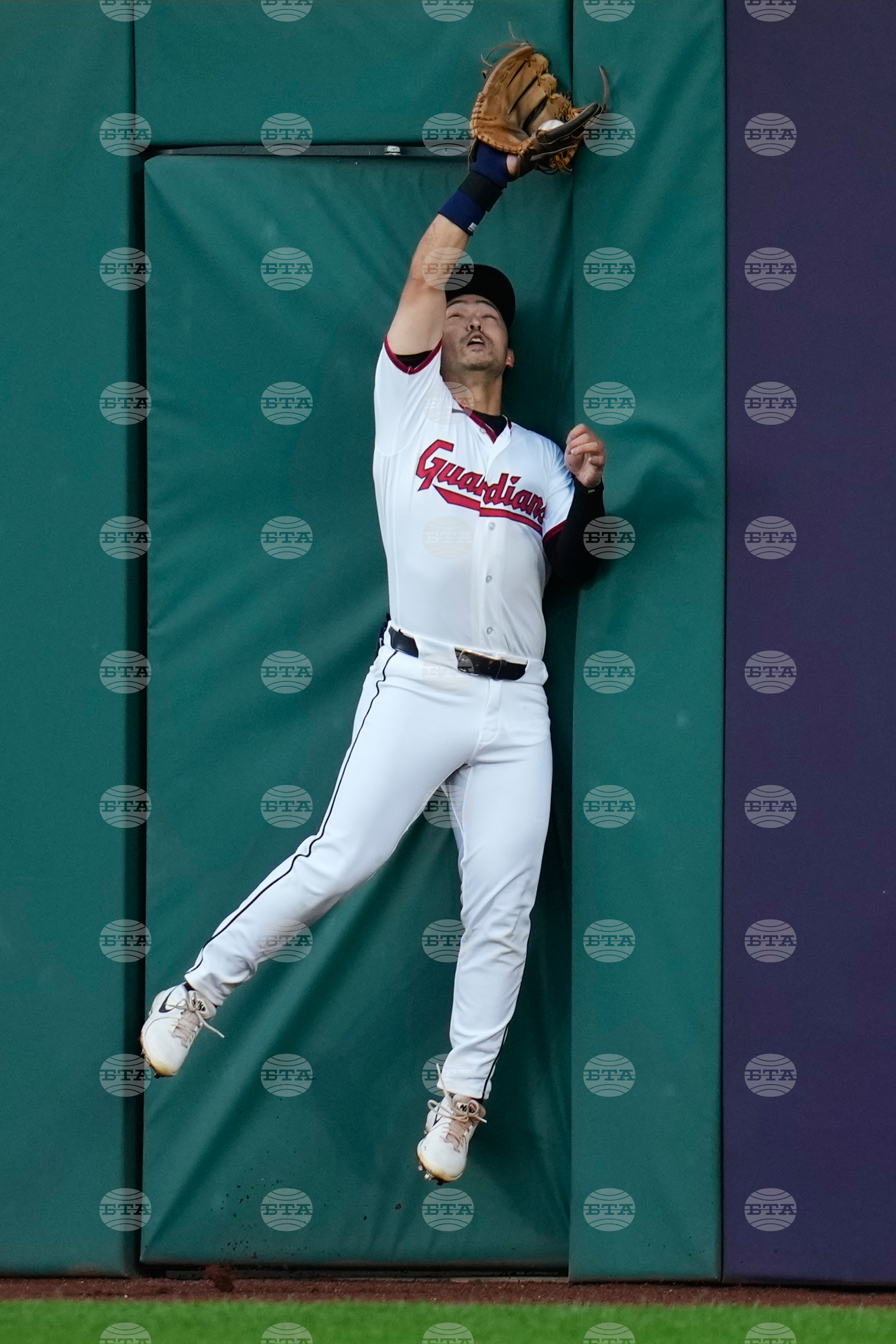 Orioles Guardians Baseball