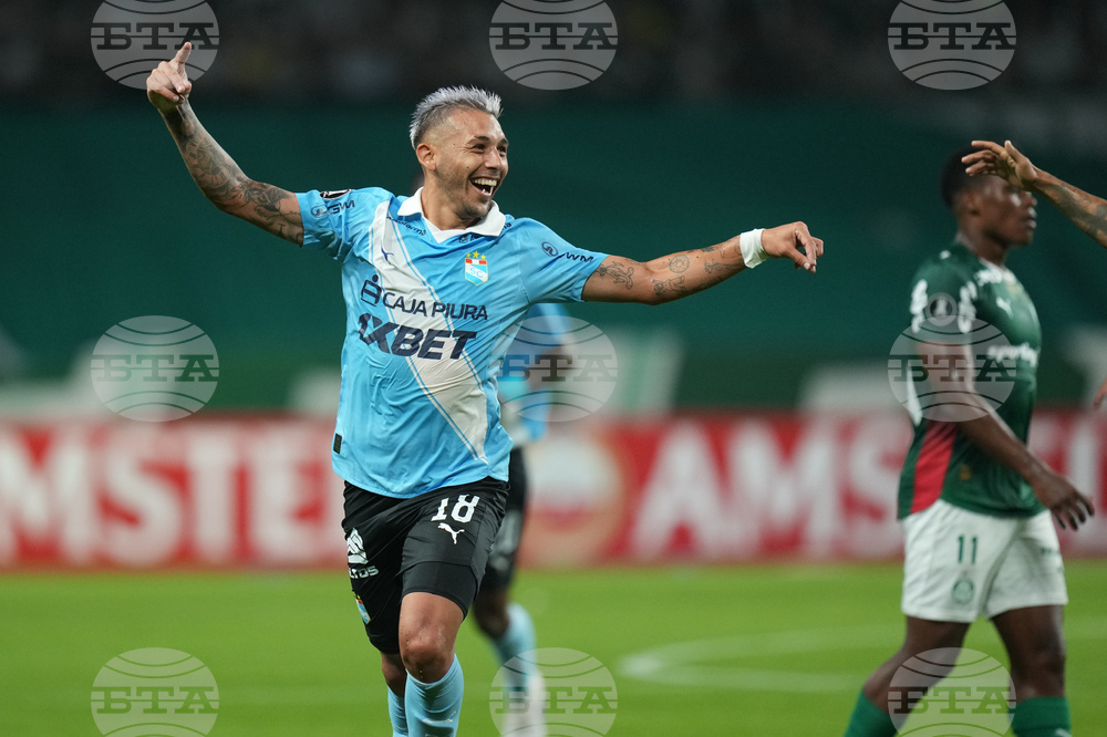 Brazil Peru Copa Libertadores Soccer