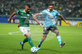 Brazil Peru Copa Libertadores Soccer