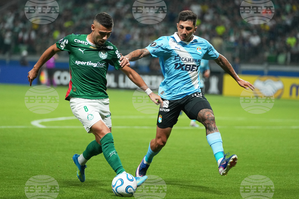 Brazil Peru Copa Libertadores Soccer