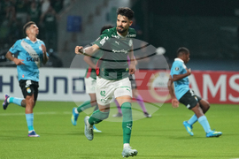 Brazil Peru Copa Libertadores Soccer