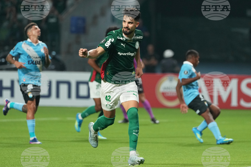 Brazil Peru Copa Libertadores Soccer