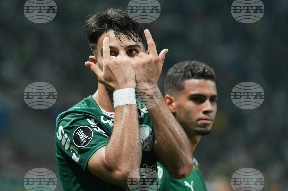 Brazil Peru Copa Libertadores Soccer