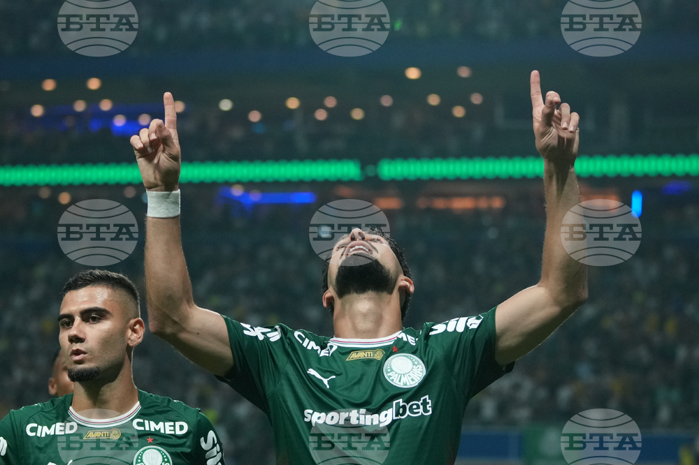 Brazil Peru Copa Libertadores Soccer