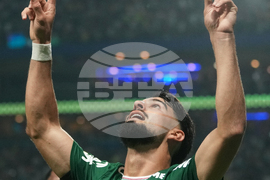 Brazil Peru Copa Libertadores Soccer