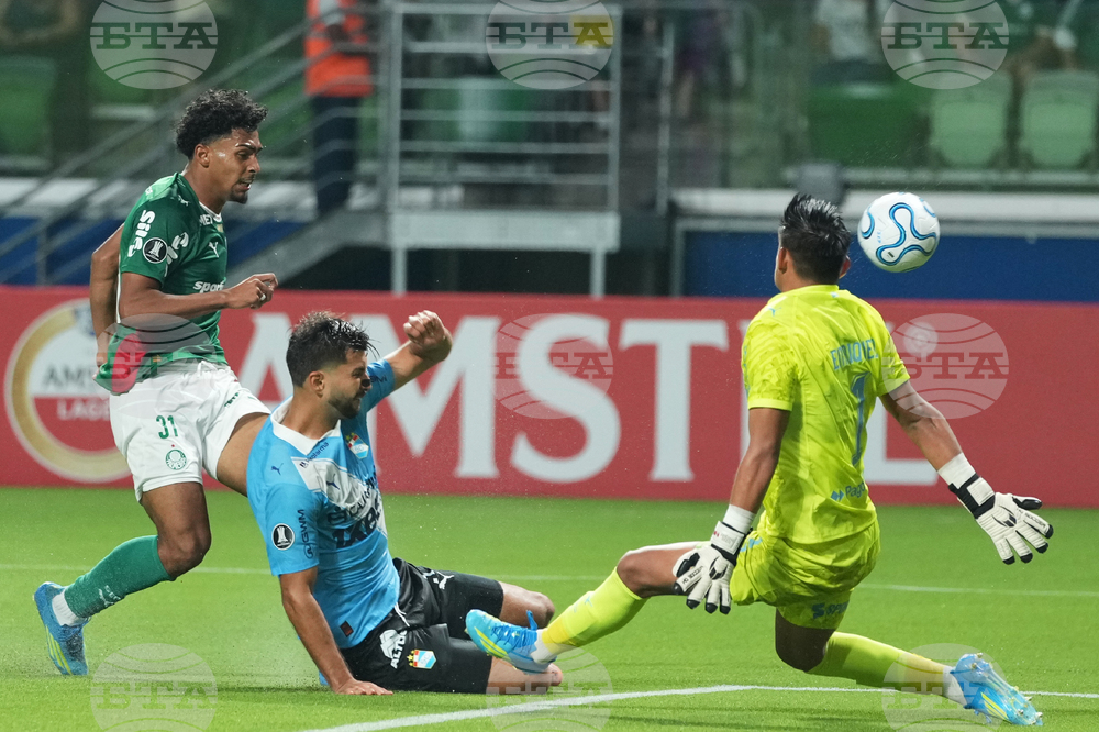 Brazil Peru Copa Libertadores Soccer