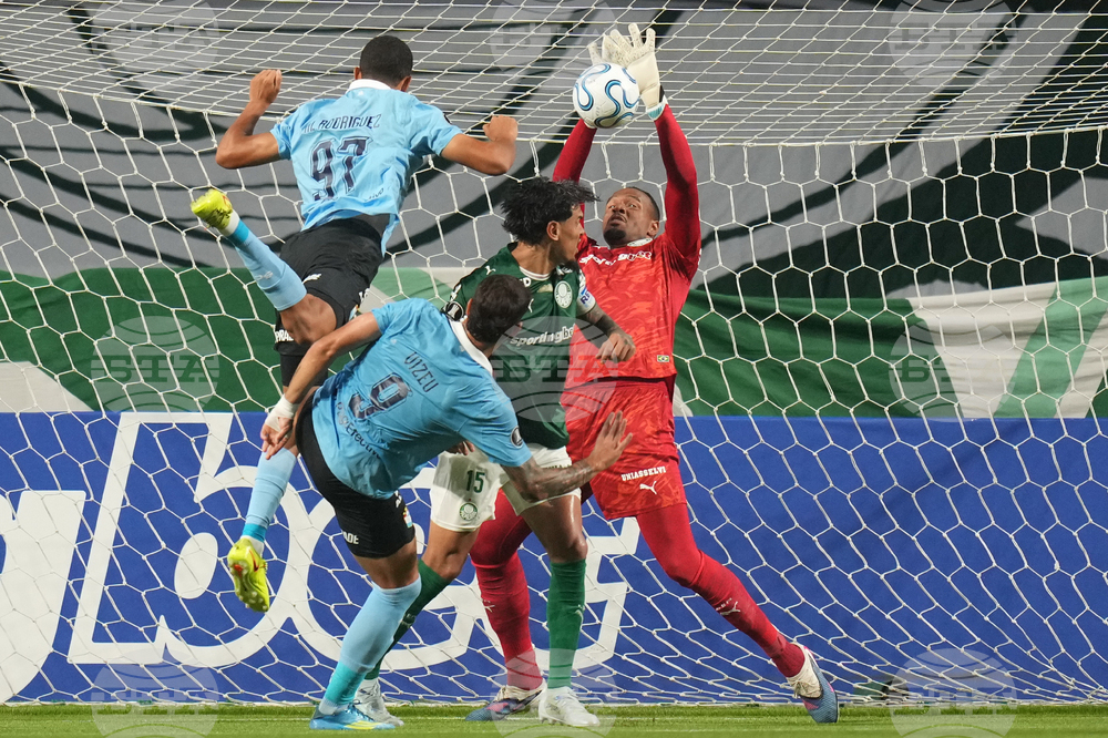 Brazil Peru Copa Libertadores Soccer