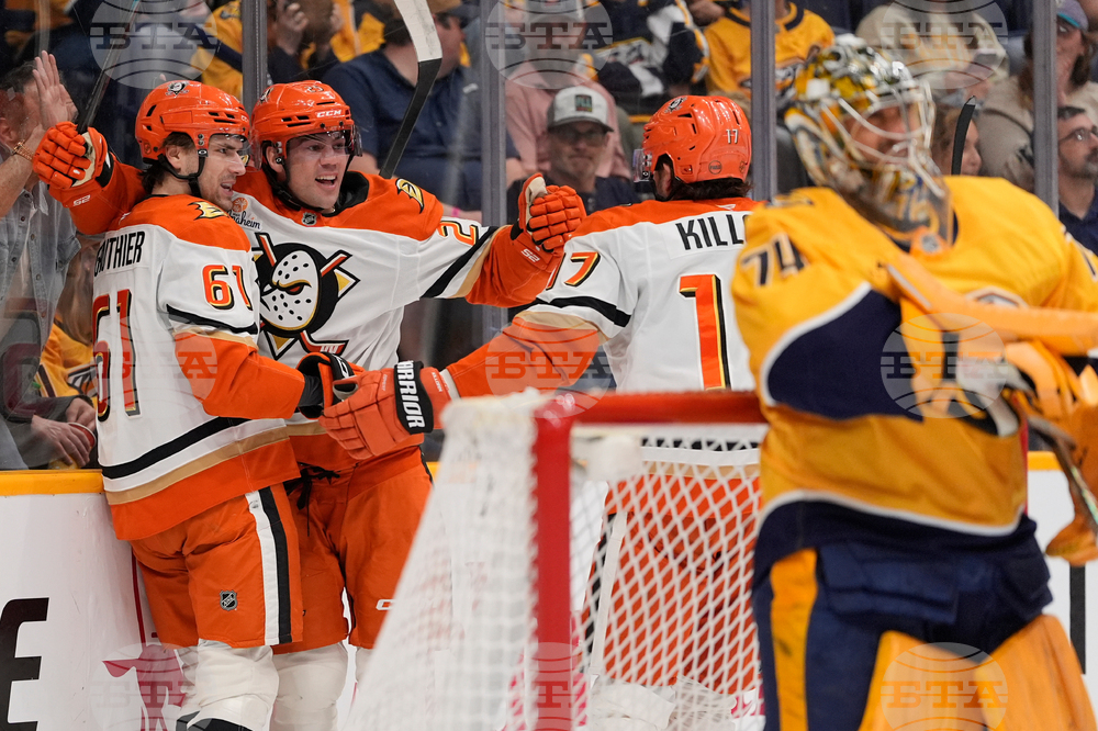 Ducks Predators Hockey