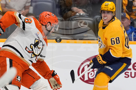 Ducks Predators Hockey