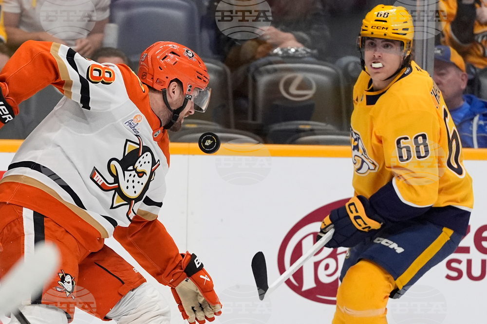 Ducks Predators Hockey