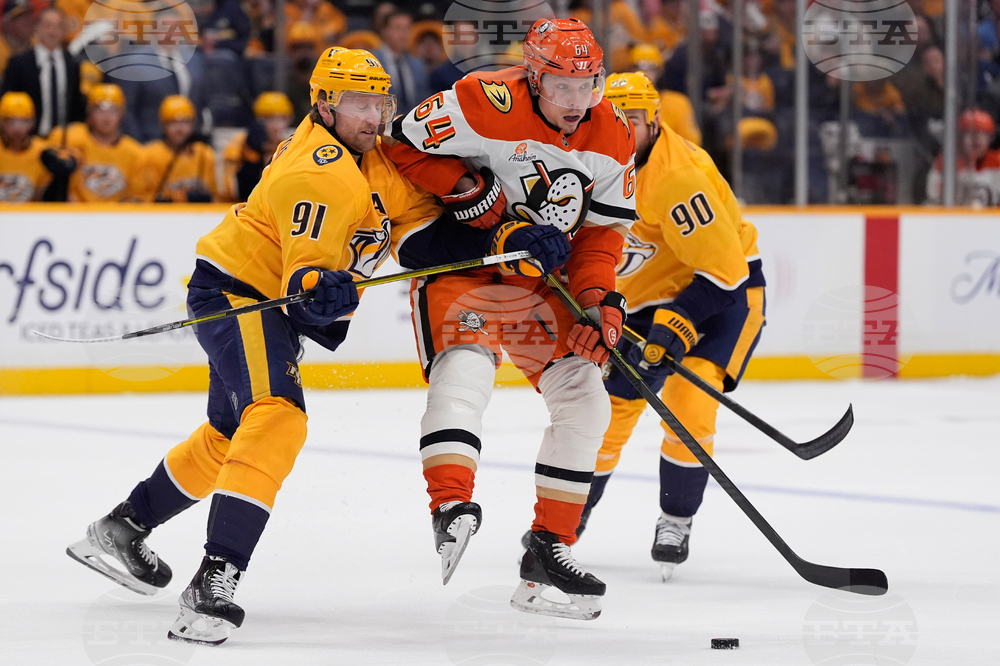 Ducks Predators Hockey