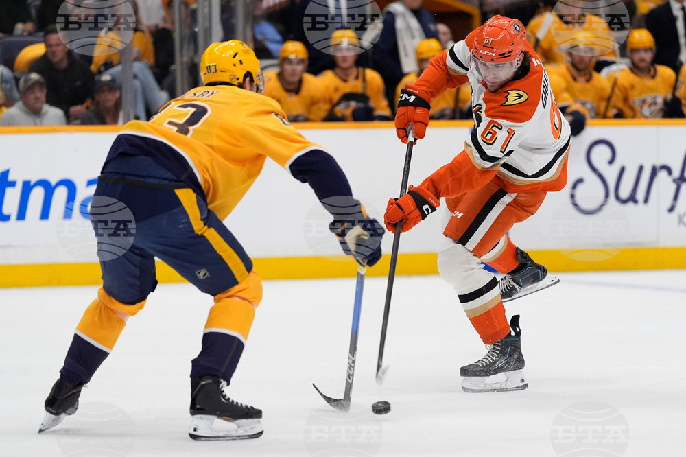 Ducks Predators Hockey