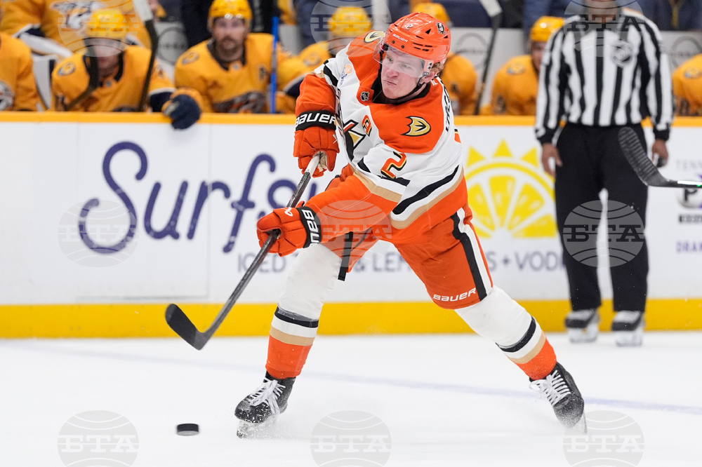 Ducks Predators Hockey