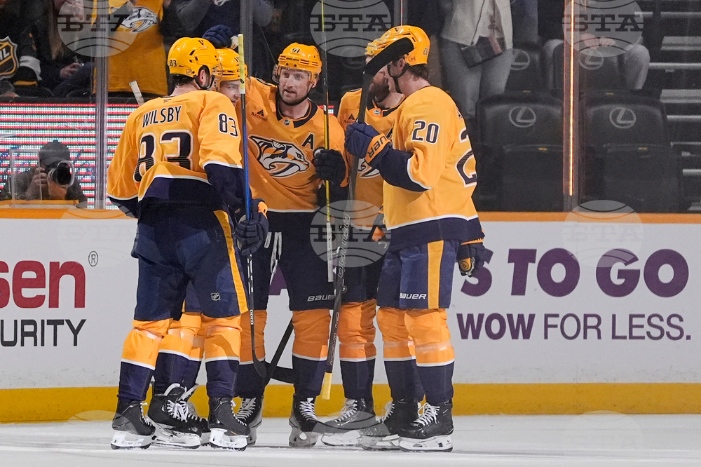 Ducks Predators Hockey