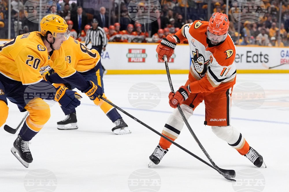 Ducks Predators Hockey