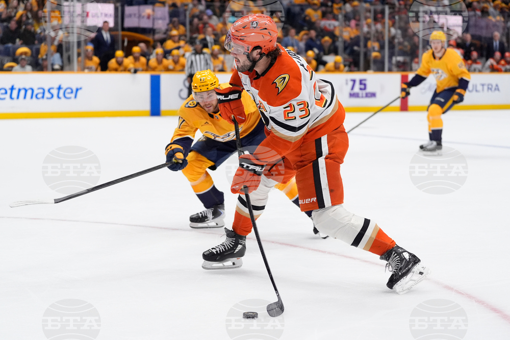 Ducks Predators Hockey