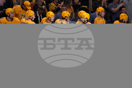 Ducks Predators Hockey