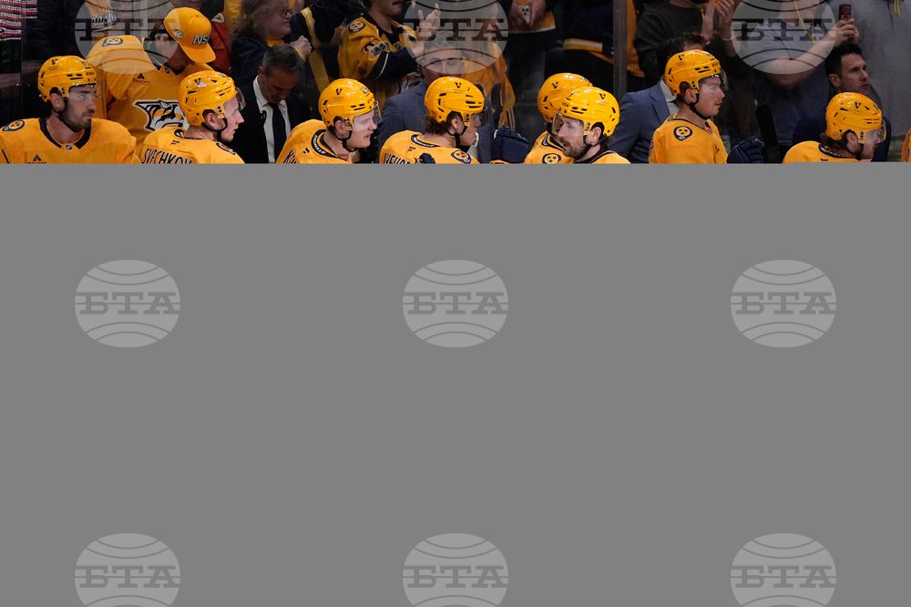 Ducks Predators Hockey