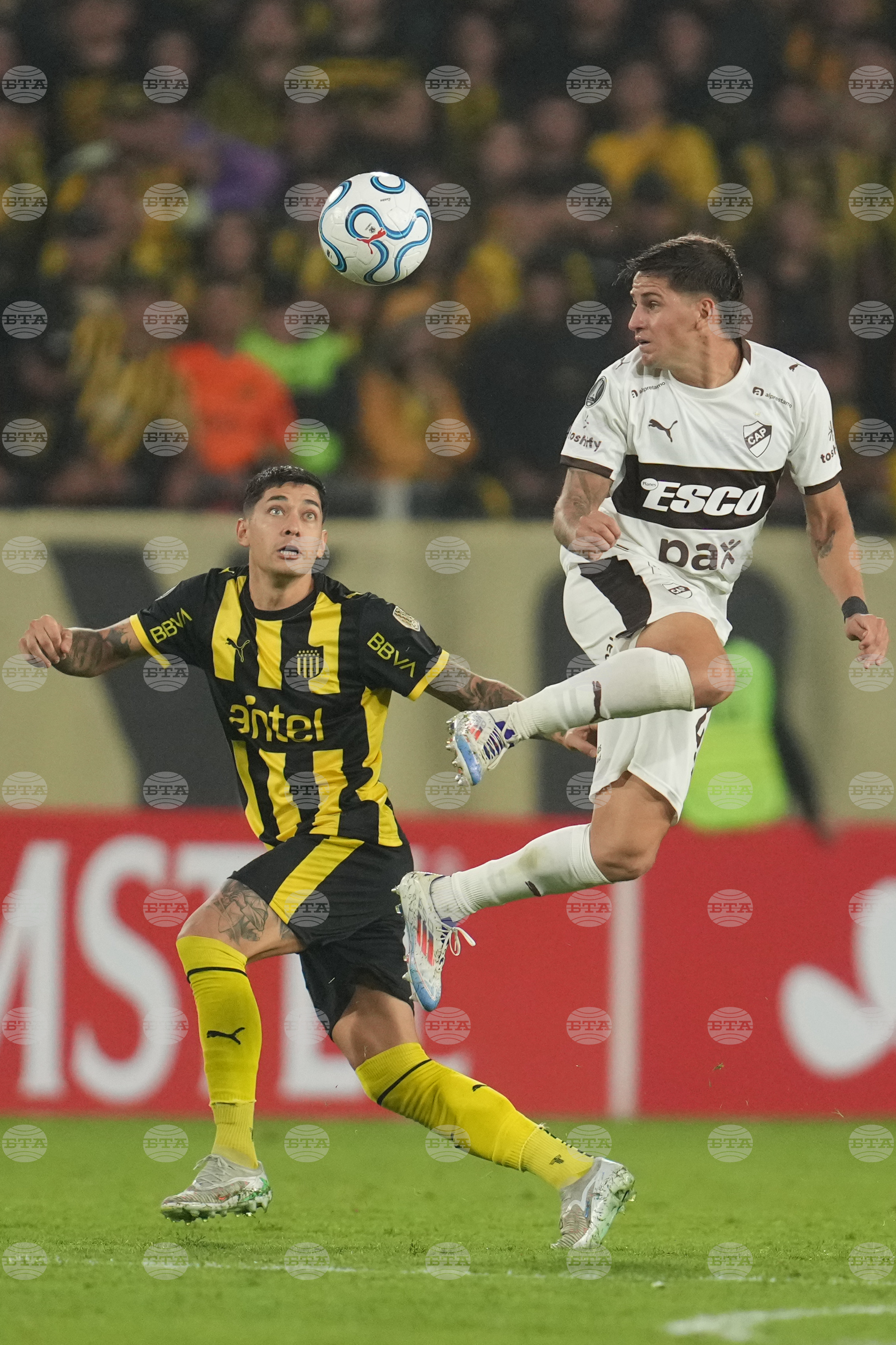 Uruguay Argentina Copa Libertadores Soccer