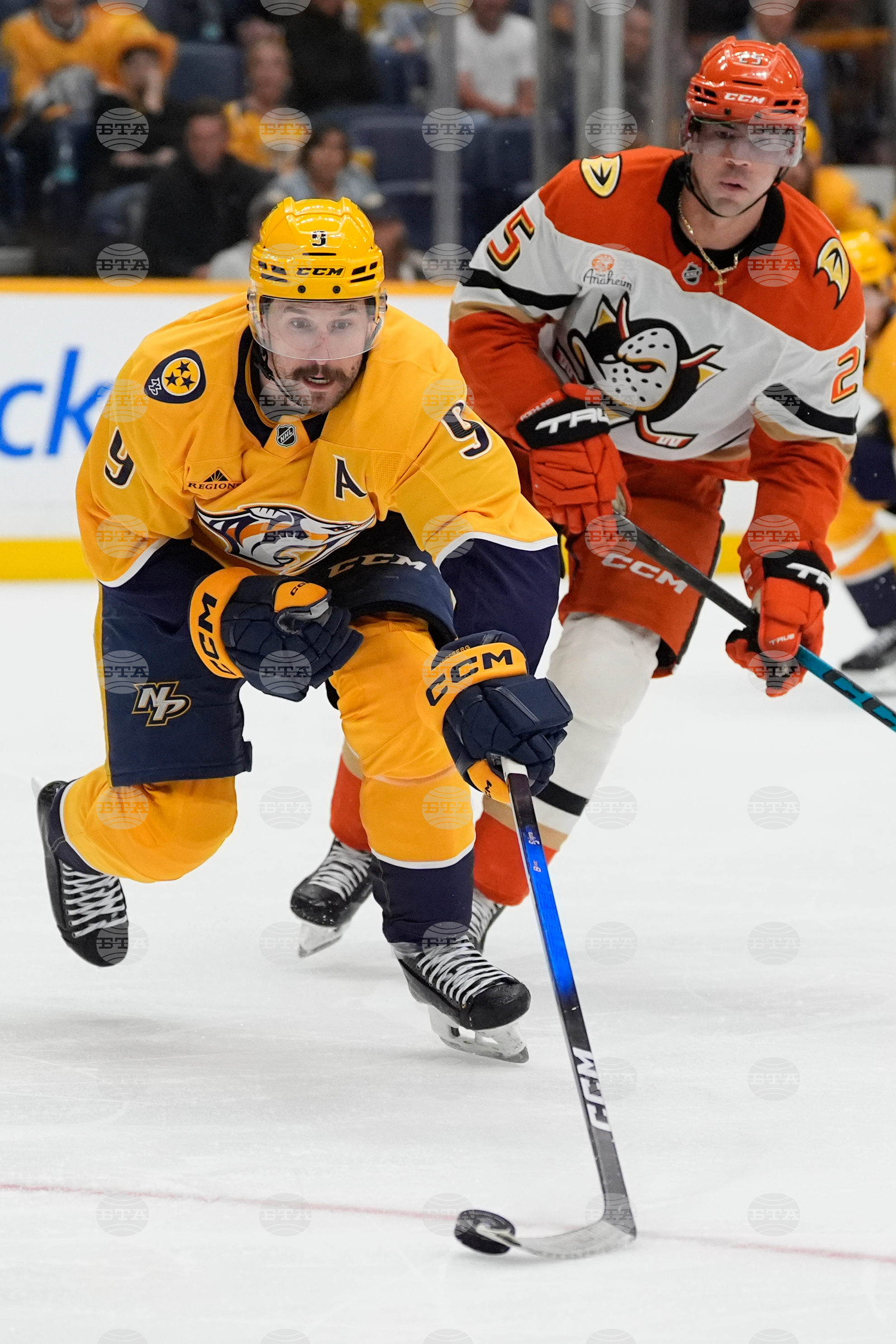 Ducks Predators Hockey