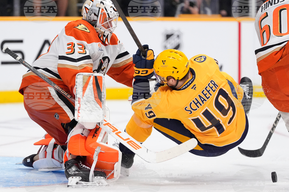 Ducks Predators Hockey