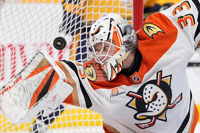 APTOPIX Ducks Predators Hockey