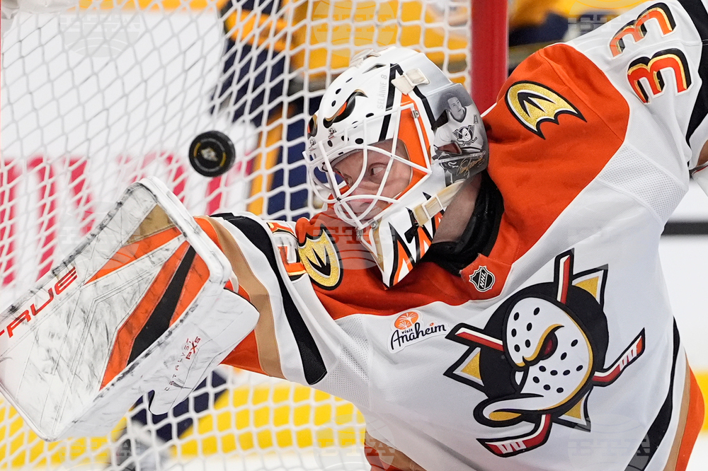 APTOPIX Ducks Predators Hockey