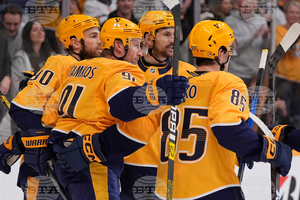 Ducks Predators Hockey