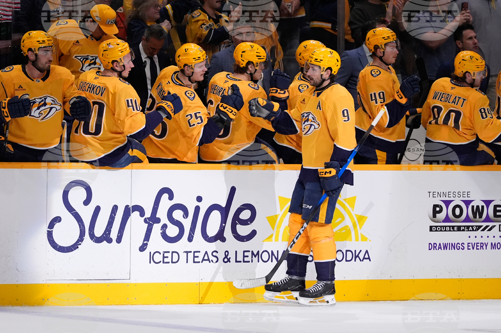 Ducks Predators Hockey