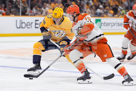 Ducks Predators Hockey