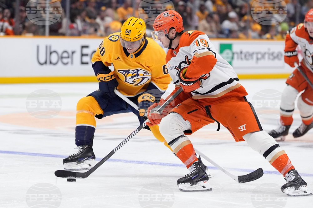 Ducks Predators Hockey