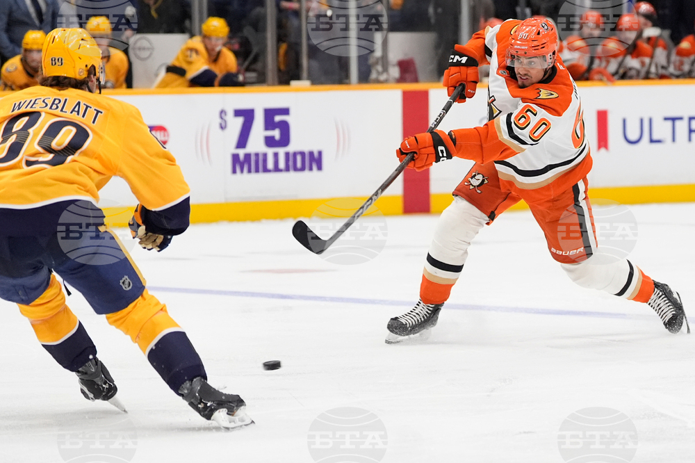 Ducks Predators Hockey