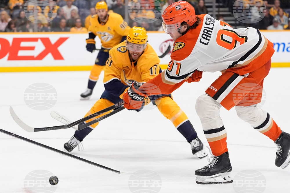 Ducks Predators Hockey