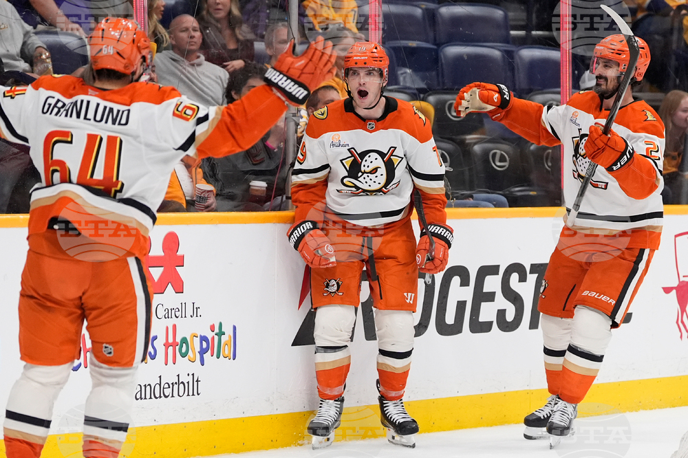 Ducks Predators Hockey