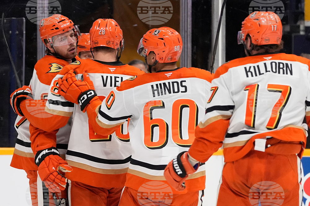 Ducks Predators Hockey