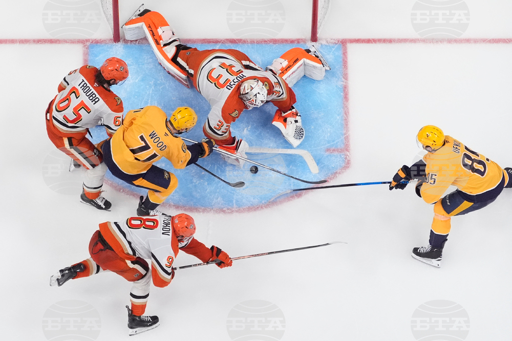 Ducks Predators Hockey