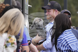 Australia Royals