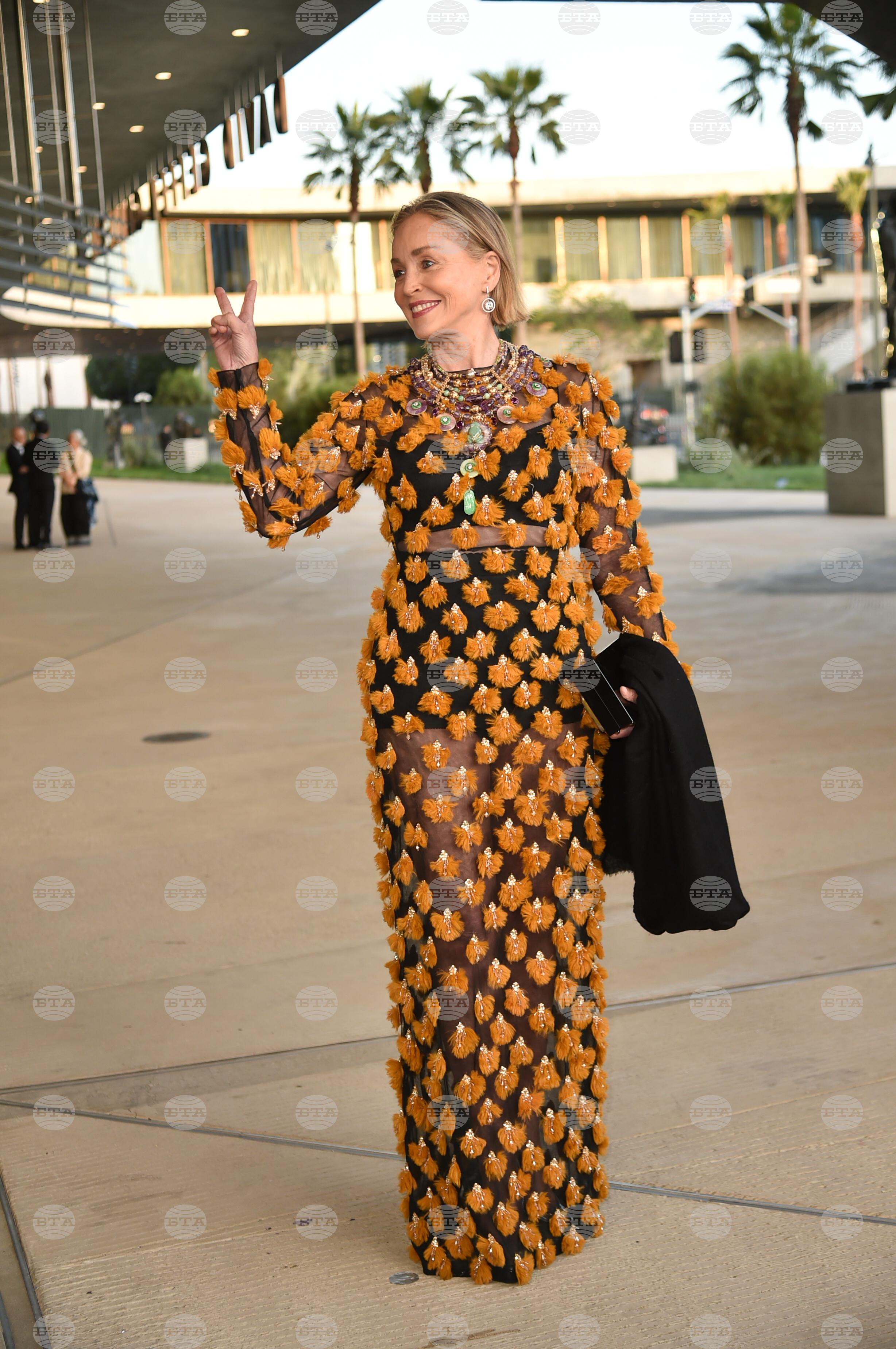 LACMA's Opening Gala for the David Geffen Galleries