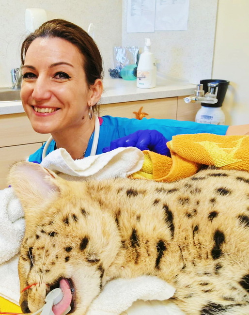 Български ветеринарен съюз: Ролята на тясната специализация в съвременната ветеринарна медицина