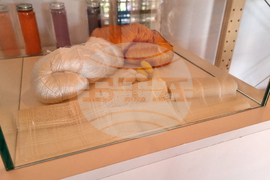 Балчик - Културен център „Двореца“ - шивалня